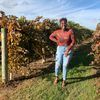 pushatise_